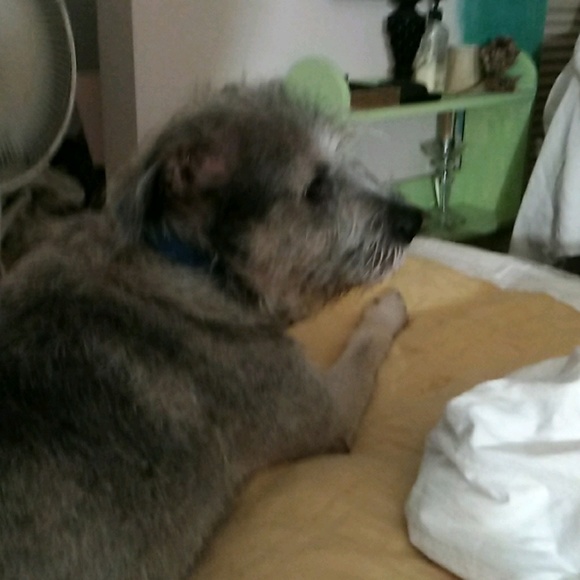 Meet your Posher, Ann - Picture 1 of 1